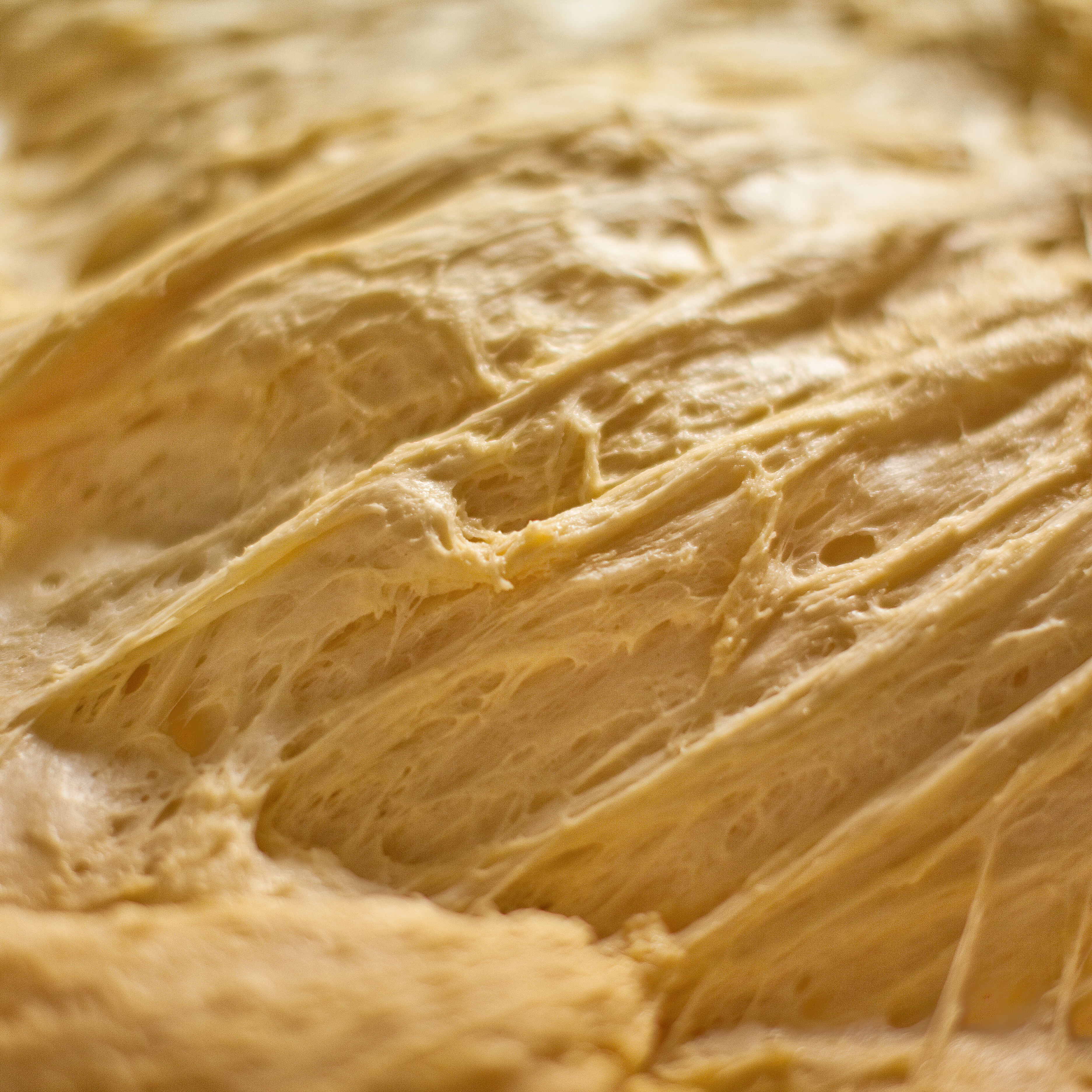 Foto dell'impasto lievitato del panettone